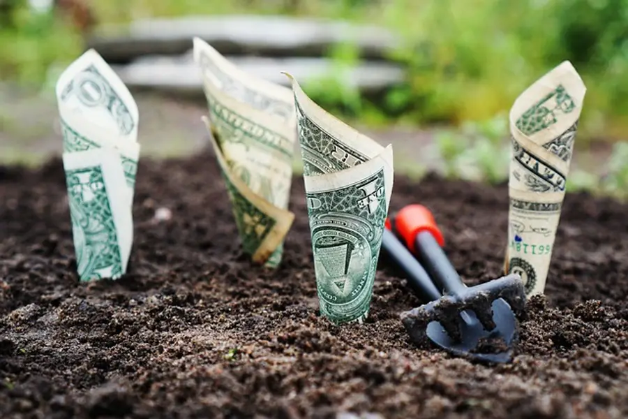Contas conjuntas valem a pena? Analisamos o impacto nas finanças.